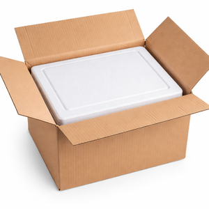 Expert Packaging